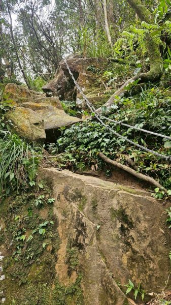 20260118五四縱走2984049