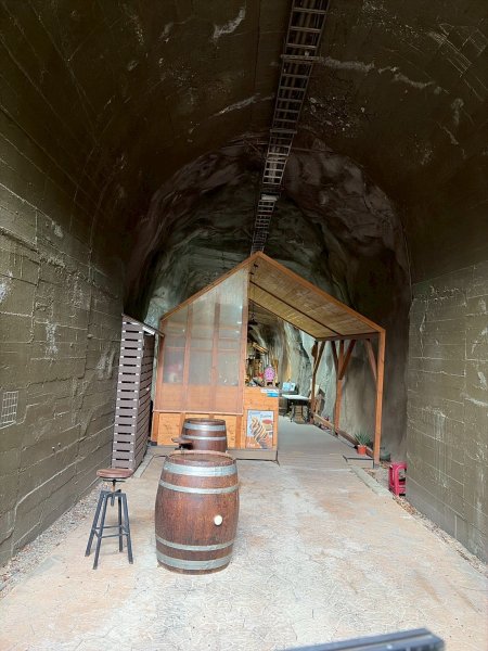 桃園 復興 巴陵古道3011854