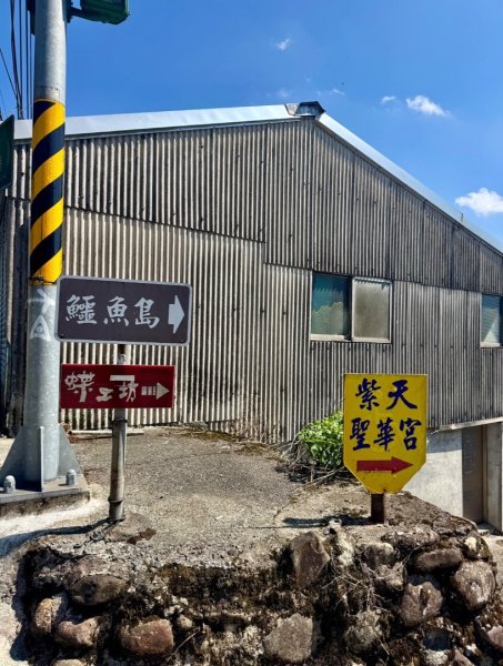 二格公園走小格頭獅頭山 千島湖看鱷魚 雲海國小爬雲海山回二格公園3134076