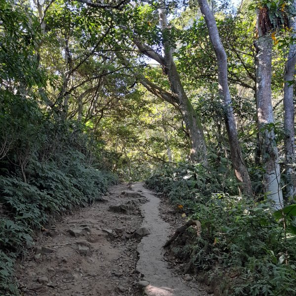 小百岳No.24⛰桃園石門山2403935