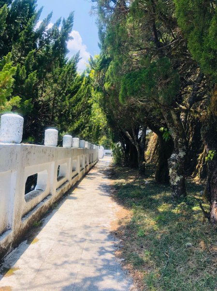 1090413中之關天池-初嚐梅子雞940958