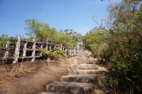 軍艦岩、丹鳳山親山步道1986011