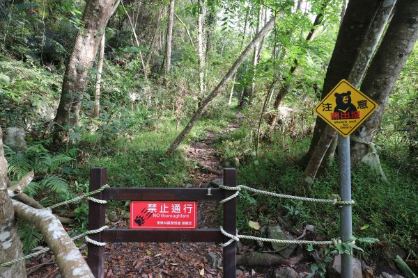 2018/06/09 屋東縱走498281