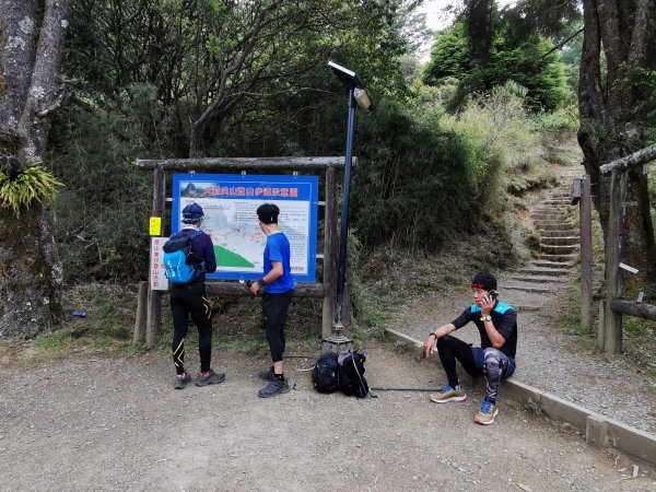 一日大霸群峰之高山杜鵑看好看滿 ( 大霸尖山、小霸尖山、伊澤山、加利山 )- 2021/5/21374752