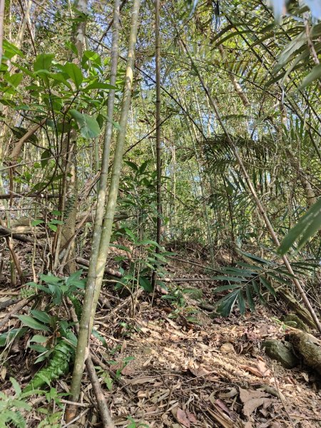 2024.02.17 關西金山2845308