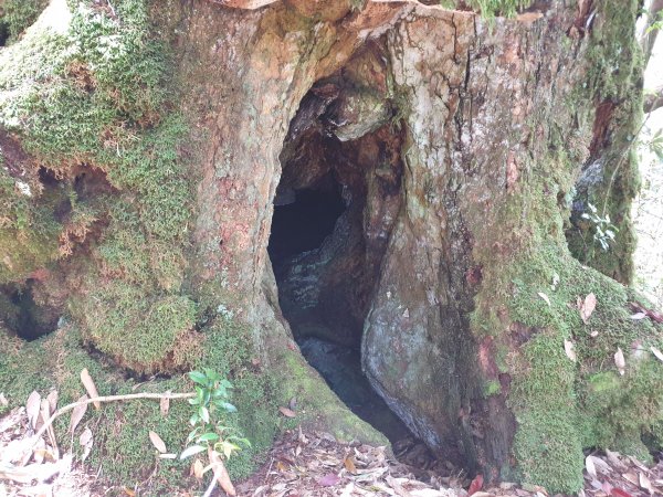 永安山、百志興保山1679598