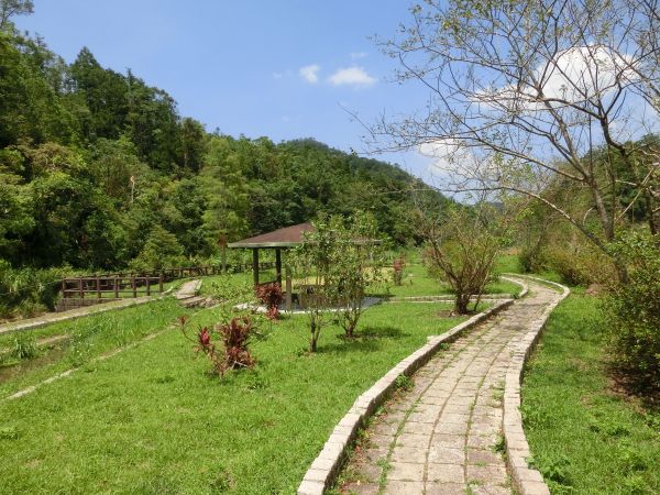 金瓜寮魚蕨步道．九芎根親水公園152327