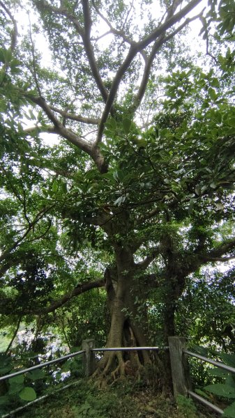 白米甕+基隆燈塔2897438