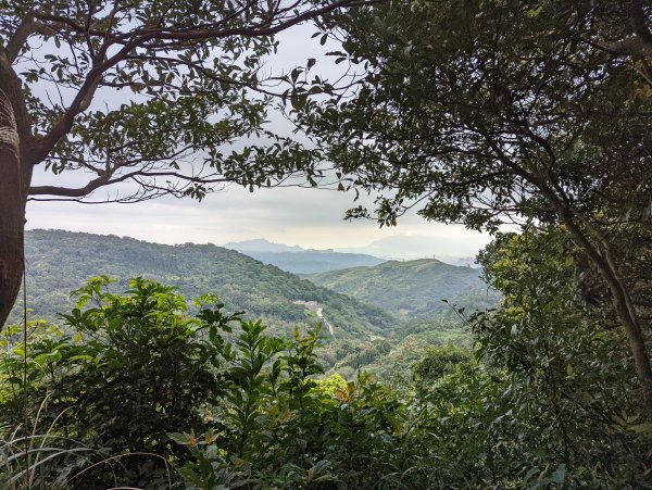 2022.03.05－大棟山縱走1636858