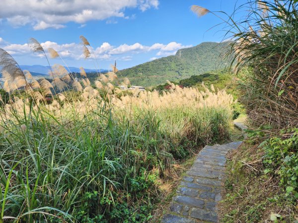 20240114指南宮站經猴山岳二格山鵝角格山至貓空站2430841