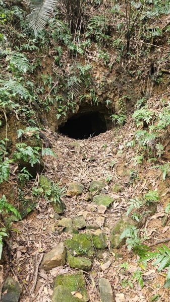 20250302玉田古道-瑪鋉三山出武聖街2725256