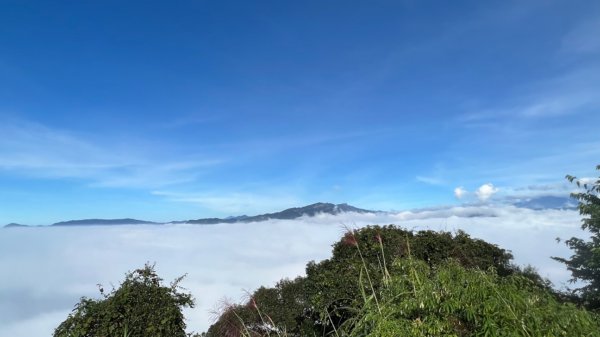 奮起湖大凍山1916437