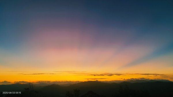 #二格山 #霞光 #日出 #艷紅鹿子百合 #大鳳蝶雄蝶 #紅花石蒜 #彼岸花 8/232867753