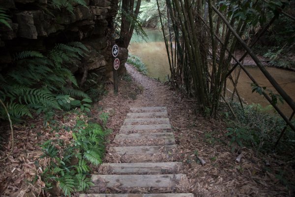 魚池鄉-澀水森林步道之水上瀑布1171961