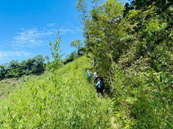 1140618鳴鳳古道｜錫隘-雲洞宮2815370
