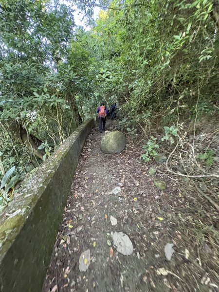 20251123三腳南山登山步道2944450