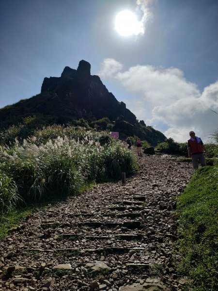 茶壺山賞芒,煙囪稜看海1186589