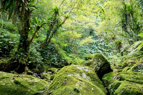 南坪古道：油羅溪上游814443