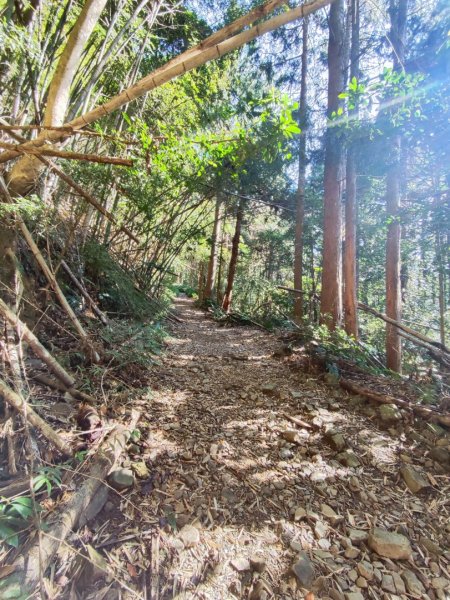 大雪山長壽三崠2691101