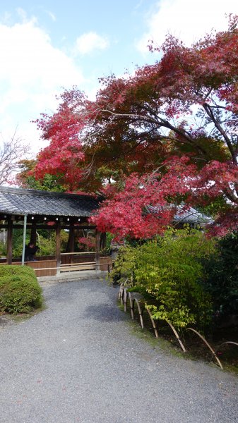 日本京都嵐山652038