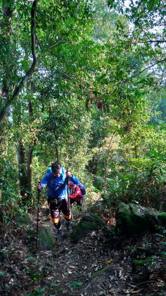 鵝公髻山、第二登山口起登889754