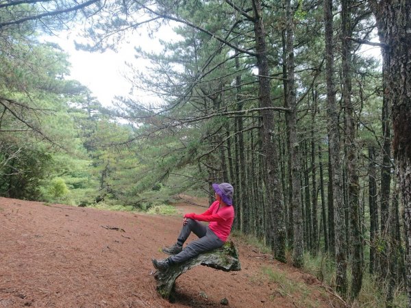 平多o走（平岩山，多加屯山，勝光山）