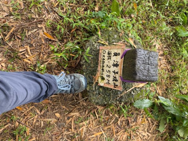 2025元旦 新店獅頭山（小獅山）順遊 高麗坑山，員潭子坑山，待荖坑山，樟湖山，樟山 出政大2680980