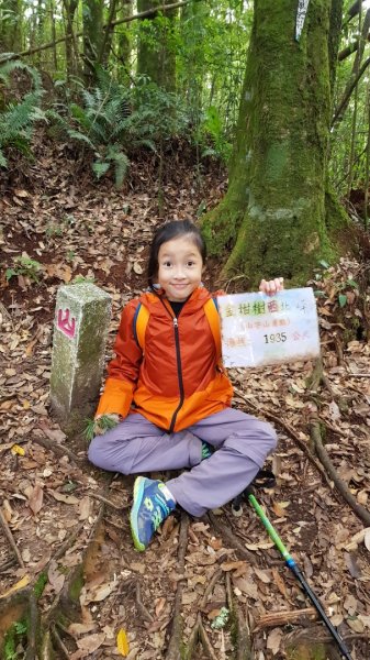 嶺頭山+金柑樹山+忘憂森林874620