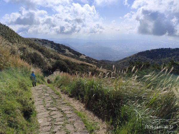 【臺北大縱走 2】【第二回合全程完成證書】鞍部→大屯山步道→大屯山主峰→大屯坪步道→二子坪步道2960393