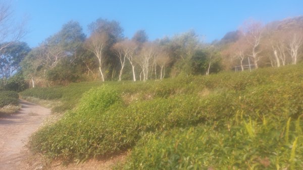 守城大山路徑探索1260127