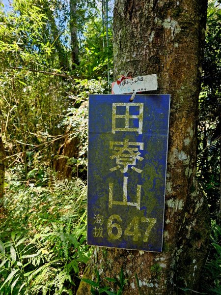 大山背麒麟步道 - 2024森遊竹縣皮皮獅Hike客任務2554892