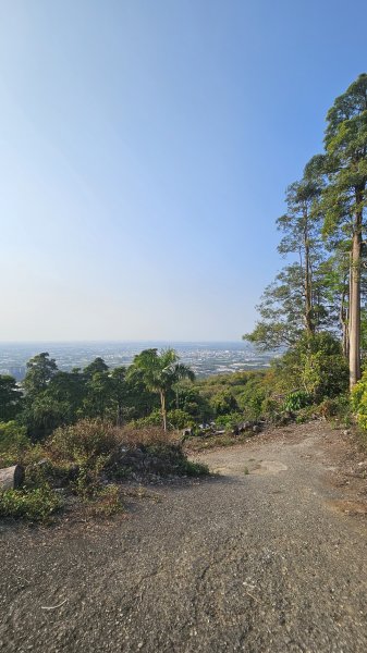 【即使簡單也要心存敬畏！】小百岳#074-大崗山、盤龍峽谷一線天O繞。3025824