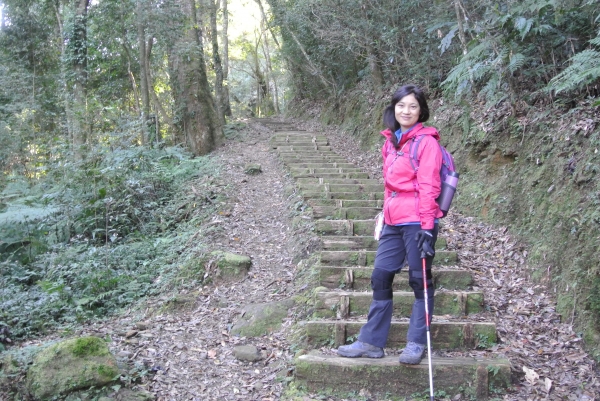 特富野古道+梯子板山25557