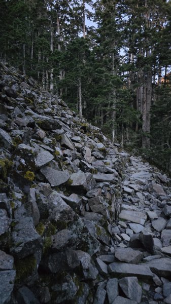 20250622 一日單攻雪主2919316