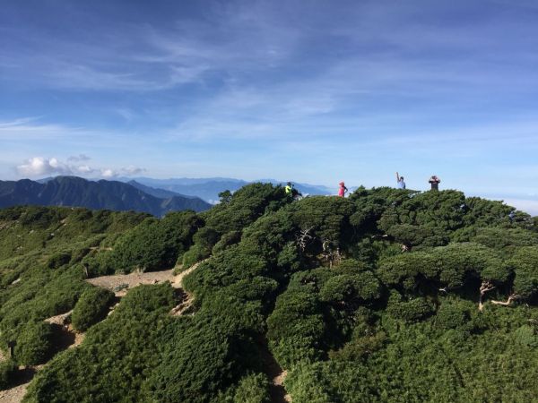 合歡山的夏宴161535