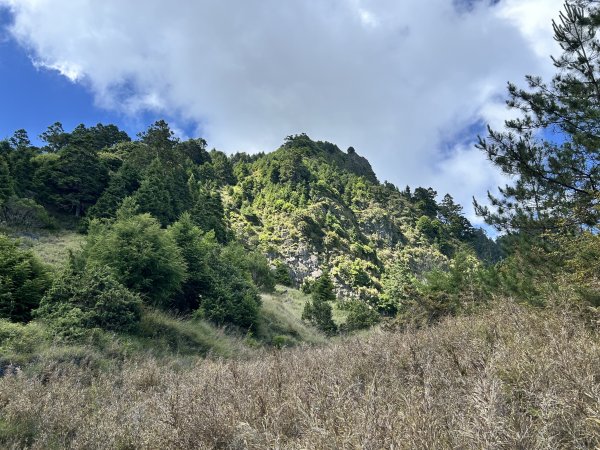 桃山3095918