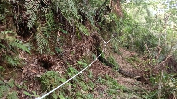 坪林區仁里坂山-火炎山未竟跟聯合艦隊除草去3125111