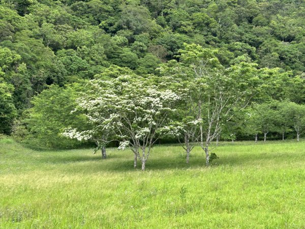 福山植物園3053395