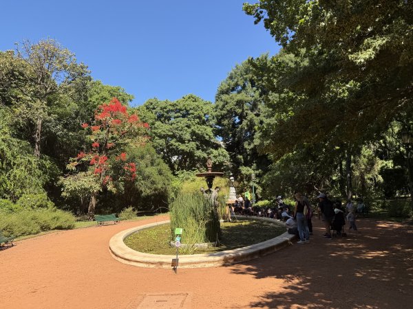 [紐約馬之行-60] 2025_1114 卡洛斯·泰斯植物園-下2954218