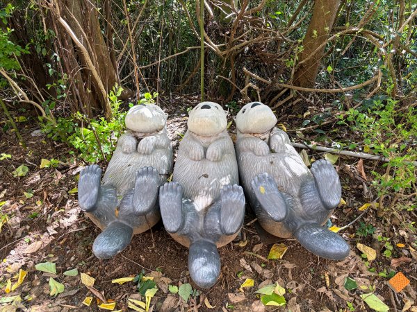 犁頭山、文山步道2835627