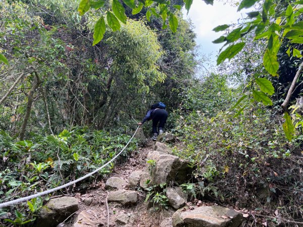 暗影山步道2753094