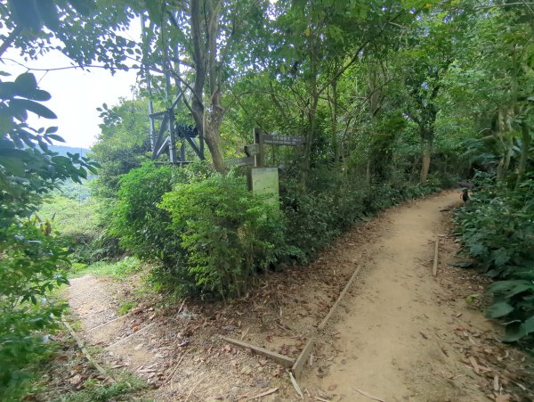 2025.08.30－微笑山線：【大棟山系】2874474