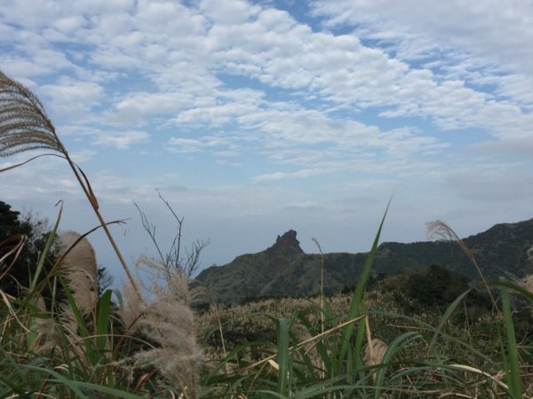 淡蘭古道-燦光寮古道沿著雙蕨葉指標而行485534