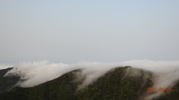 0405陽明山再見雲瀑，今年以來最滿意的一次1335464