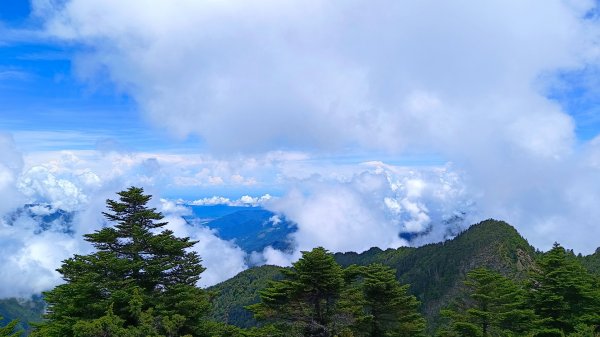 南橫F4之關山/庫哈諾辛山1747935