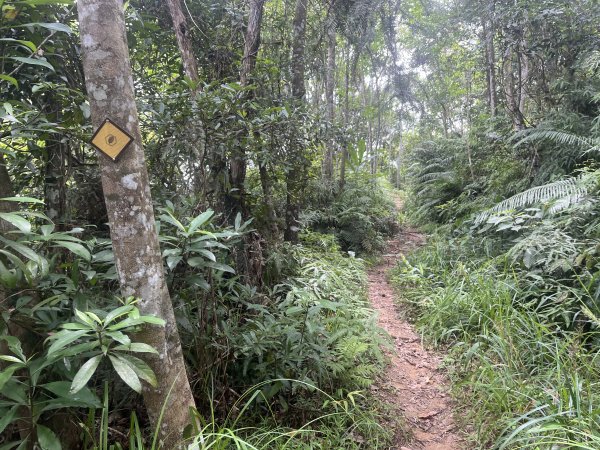 [皮皮獅Hike客任務-05/10] 2024_0721 石硬子古道(石峎古道)2557527