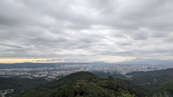 天上山 桐花公園來回2190981