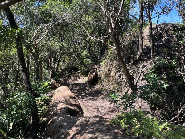 [微笑山線_第九段] 2025_0914 二格山系_天王峰2889606