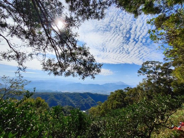 飛鳳山觀日坪古道2656247