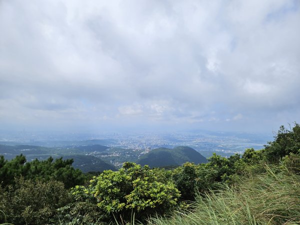 七星山3110742